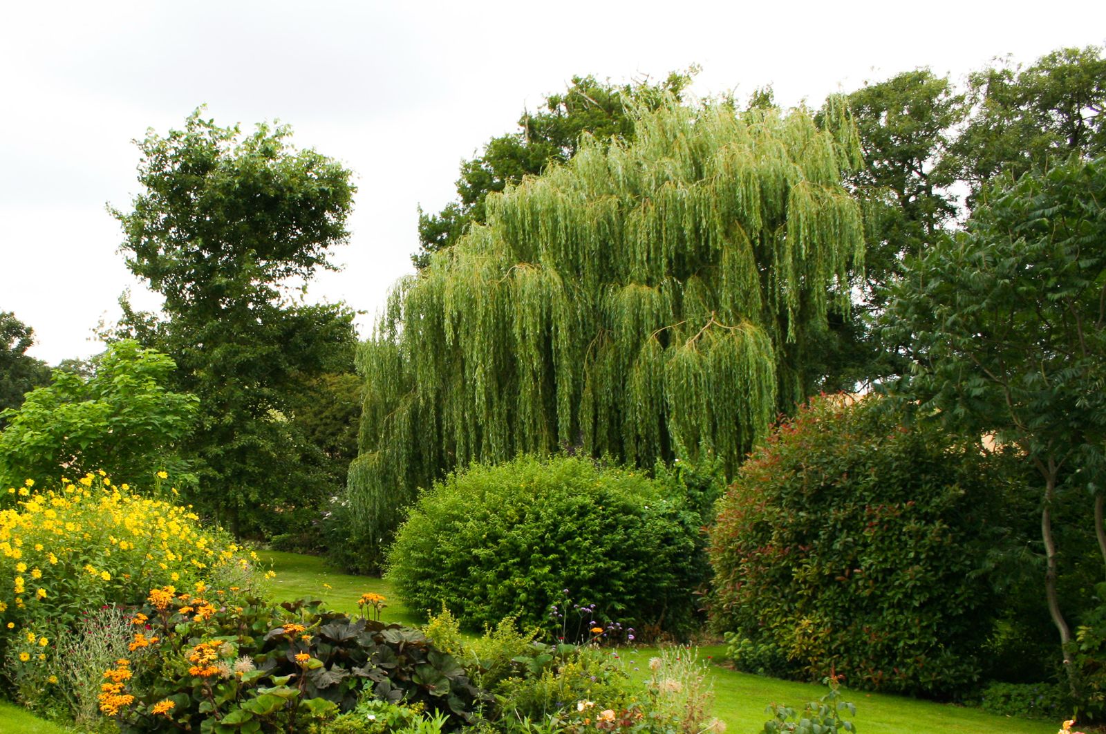 The Willow at Elysium Grove women's wellness retreat in Hertfordshire