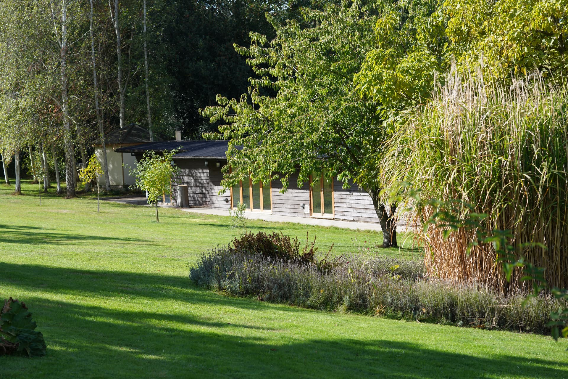 The Birch at Elysium Grove women's wellness retreat in Hertfordshire