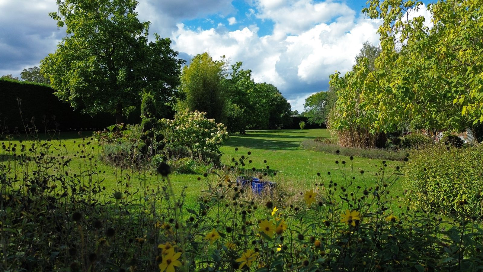 The Oak at Elysium Grove women's wellness retreat in Hertfordshire
